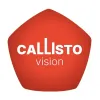 Каллисто Вижн