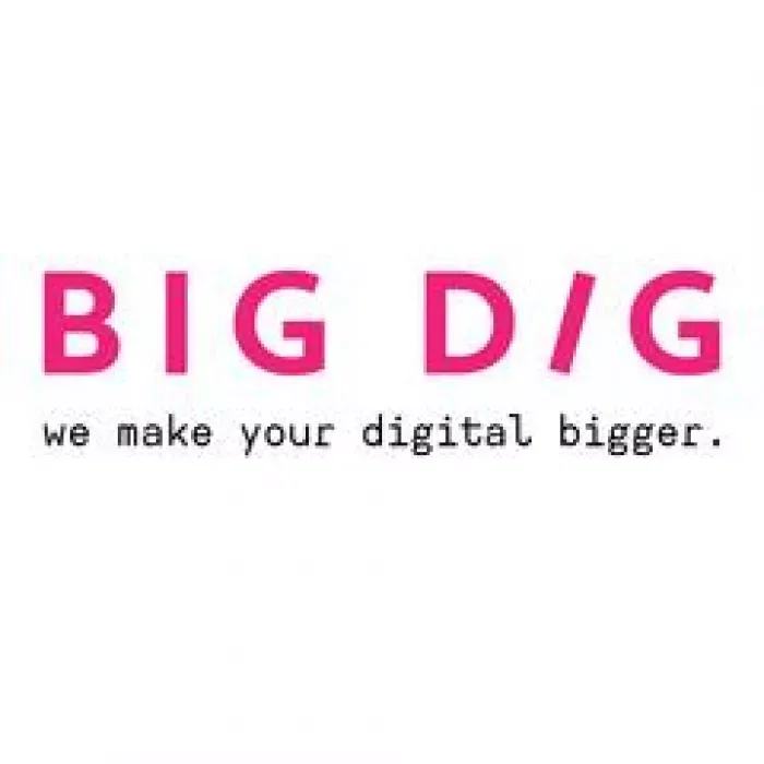 Big dig ооо смм-отдел