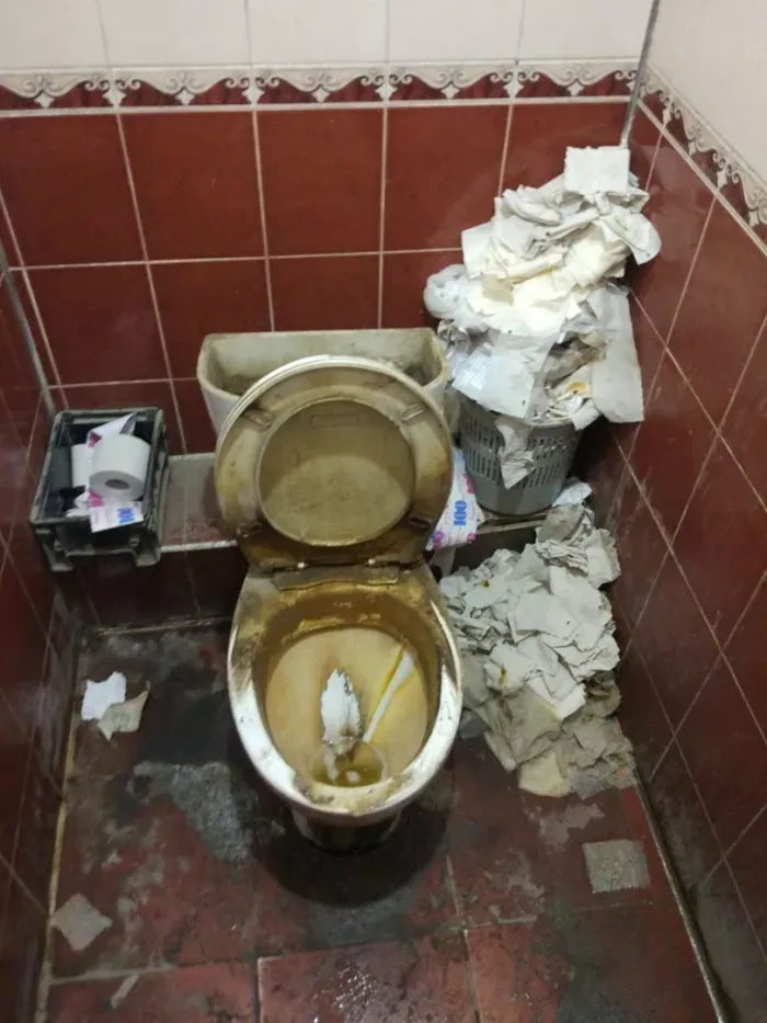 ДПЛ Полимер